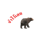 Grizzly Bear for Chat（個別スタンプ：24）