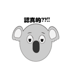 Mr.Cute Koala（個別スタンプ：40）