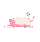 Pomegranate Pig（個別スタンプ：39）