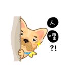 I'm Hoyo * II（個別スタンプ：33）