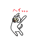 しろねこ人間（個別スタンプ：17）
