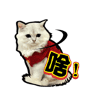 taro-S（個別スタンプ：1）