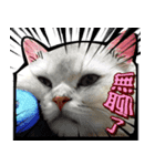 taro-S（個別スタンプ：2）