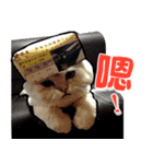 taro-S（個別スタンプ：6）