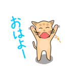 猫助太郎介のSticker（個別スタンプ：1）