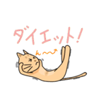 猫助太郎介のSticker（個別スタンプ：20）