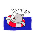 しろさん ザ ホワイト キャット（個別スタンプ：11）