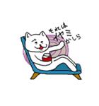 しろさん ザ ホワイト キャット（個別スタンプ：38）