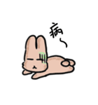 Yanghane'sRabbit3（個別スタンプ：24）