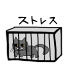 無表情グレーねこ（個別スタンプ：13）