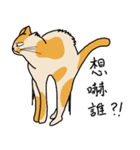 Mia the cat（個別スタンプ：1）