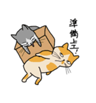 Mia the cat（個別スタンプ：2）