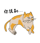 Mia the cat（個別スタンプ：11）