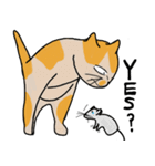 Mia the cat（個別スタンプ：14）