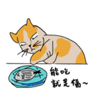 Mia the cat（個別スタンプ：15）