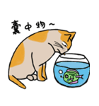 Mia the cat（個別スタンプ：16）