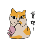 Mia the cat（個別スタンプ：18）