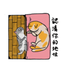 Mia the cat（個別スタンプ：20）