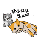 Mia the cat（個別スタンプ：21）