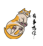 Mia the cat（個別スタンプ：22）