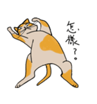 Mia the cat（個別スタンプ：24）