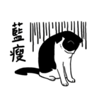 RORO Cat（個別スタンプ：10）