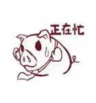 Yuan Yuan Pig ( Tzge Kun )（個別スタンプ：39）