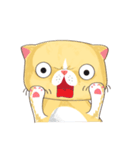 bueatiful cat（個別スタンプ：5）