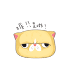 bueatiful cat（個別スタンプ：10）