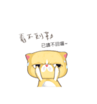 bueatiful cat（個別スタンプ：17）