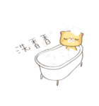 bueatiful cat（個別スタンプ：19）