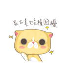 bueatiful cat（個別スタンプ：27）