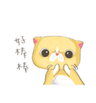 bueatiful cat（個別スタンプ：36）