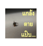 Slang Humor photos V.2（個別スタンプ：10）