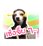 Teemo Ver.1（個別スタンプ：2）