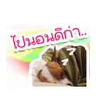 Teemo Ver.1（個別スタンプ：8）
