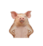 気分屋の豚（個別スタンプ：3）