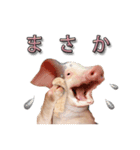 気分屋の豚（個別スタンプ：6）