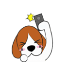 Chalee Beagle（個別スタンプ：8）