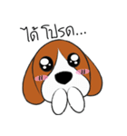 Chalee Beagle（個別スタンプ：9）