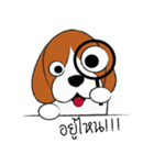 Chalee Beagle（個別スタンプ：10）