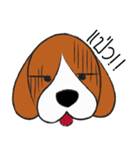 Chalee Beagle（個別スタンプ：15）