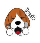 Chalee Beagle（個別スタンプ：16）