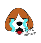 Chalee Beagle（個別スタンプ：17）