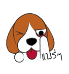 Chalee Beagle（個別スタンプ：18）