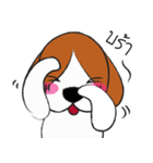 Chalee Beagle（個別スタンプ：20）