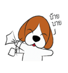 Chalee Beagle（個別スタンプ：23）