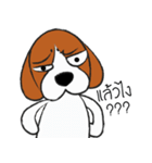 Chalee Beagle（個別スタンプ：26）