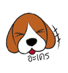 Chalee Beagle（個別スタンプ：27）