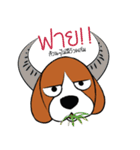 Chalee Beagle（個別スタンプ：29）